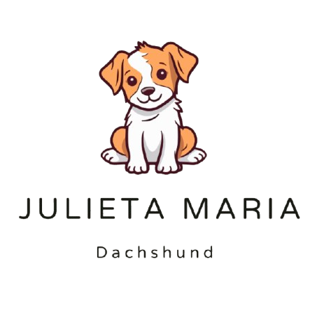 Julieta Maria Dachshund